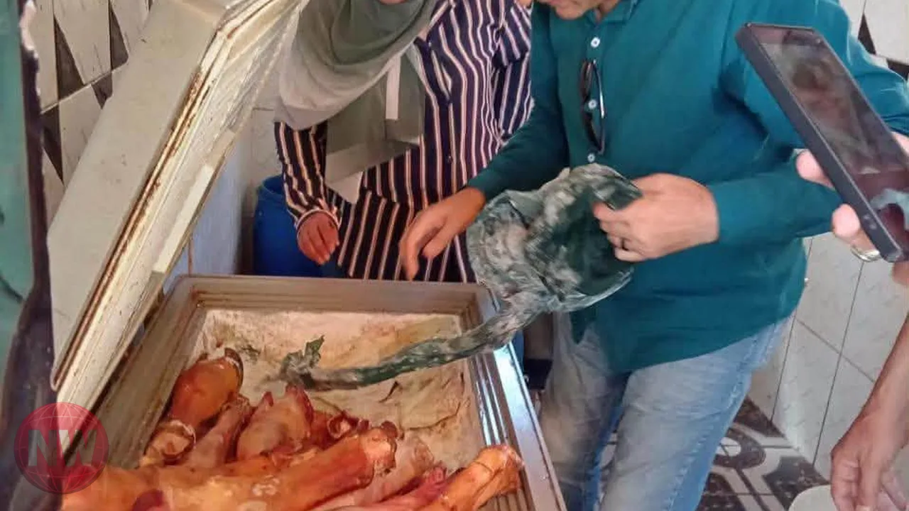 ضبط 340 كيلوجراماً من اللحوم الفاسدة في المنوفية