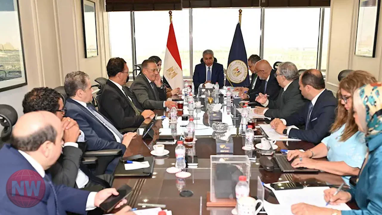 مهرجان لحصاد الزيتون في مطروح سبتمبر 2027