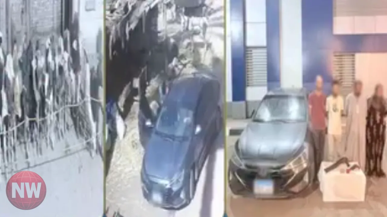 ضبط تشكيل عصابي لسرقة الماشية في محافظة الشرقية