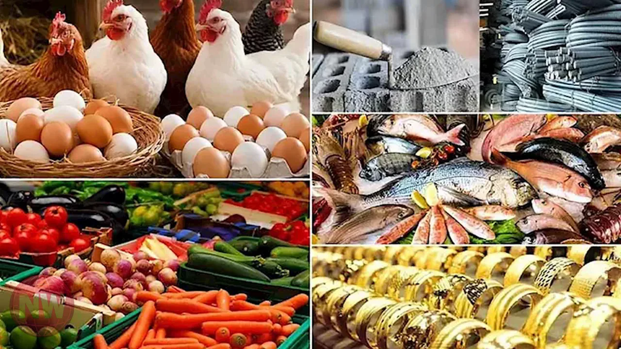 تباين أسعار السلع الأساسية والذهب في الأسواق المصرية 24 يوليو 2026