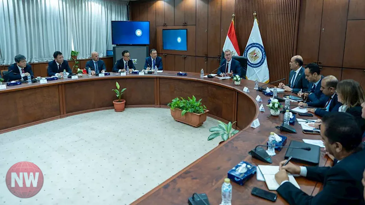 مصر والصين تبحثان تسريع تنفيذ مشروعات البتروكيماويات الاستراتيجية