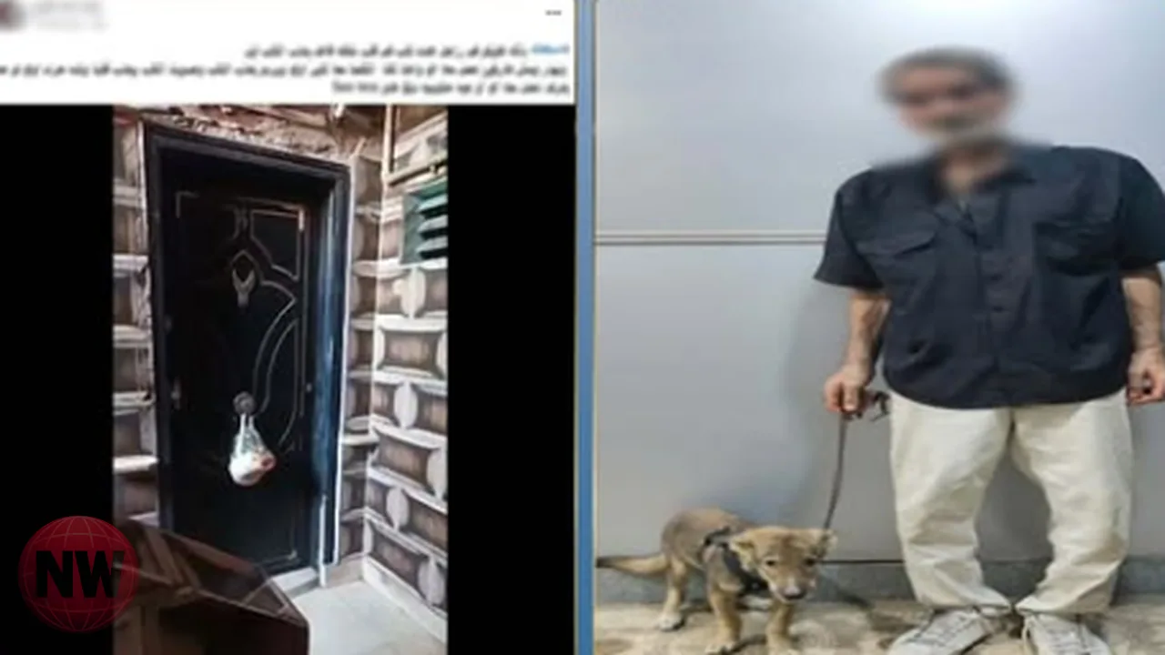 ضبط عامل بالجيزة لتعديه على كلب داخل شقته