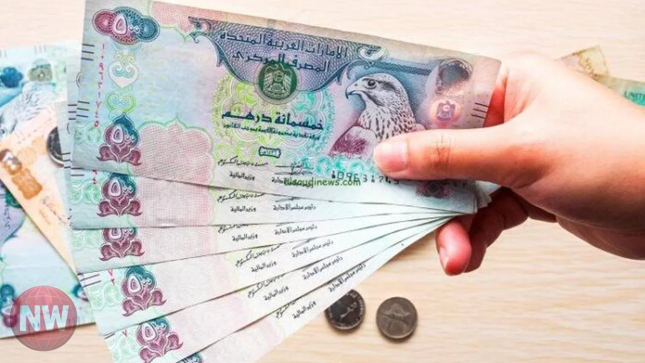 استقرار سعر الدرهم الإماراتي في مصر اليوم الأحد