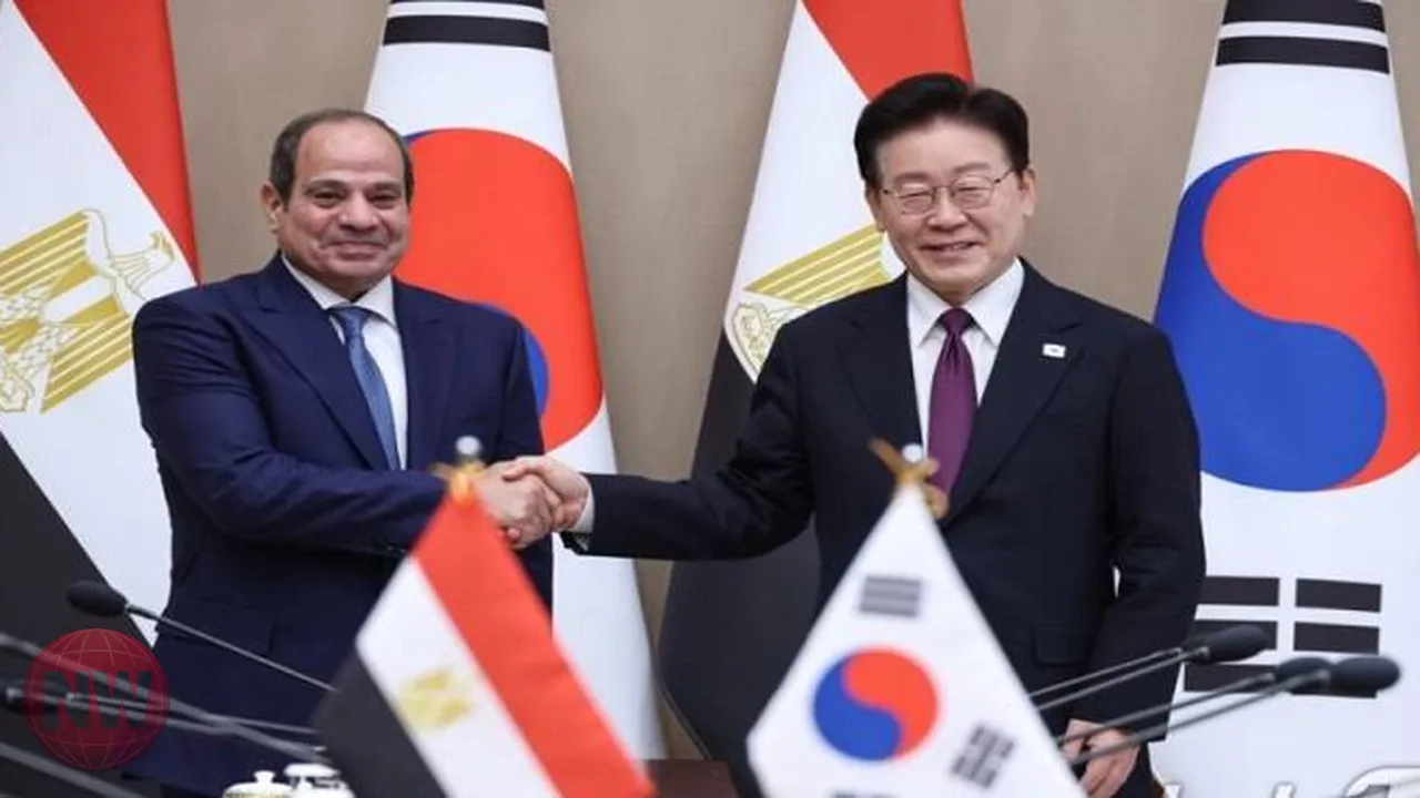 تحركات مصر الاستراتيجية لتعزيز الشراكات في آسيا
