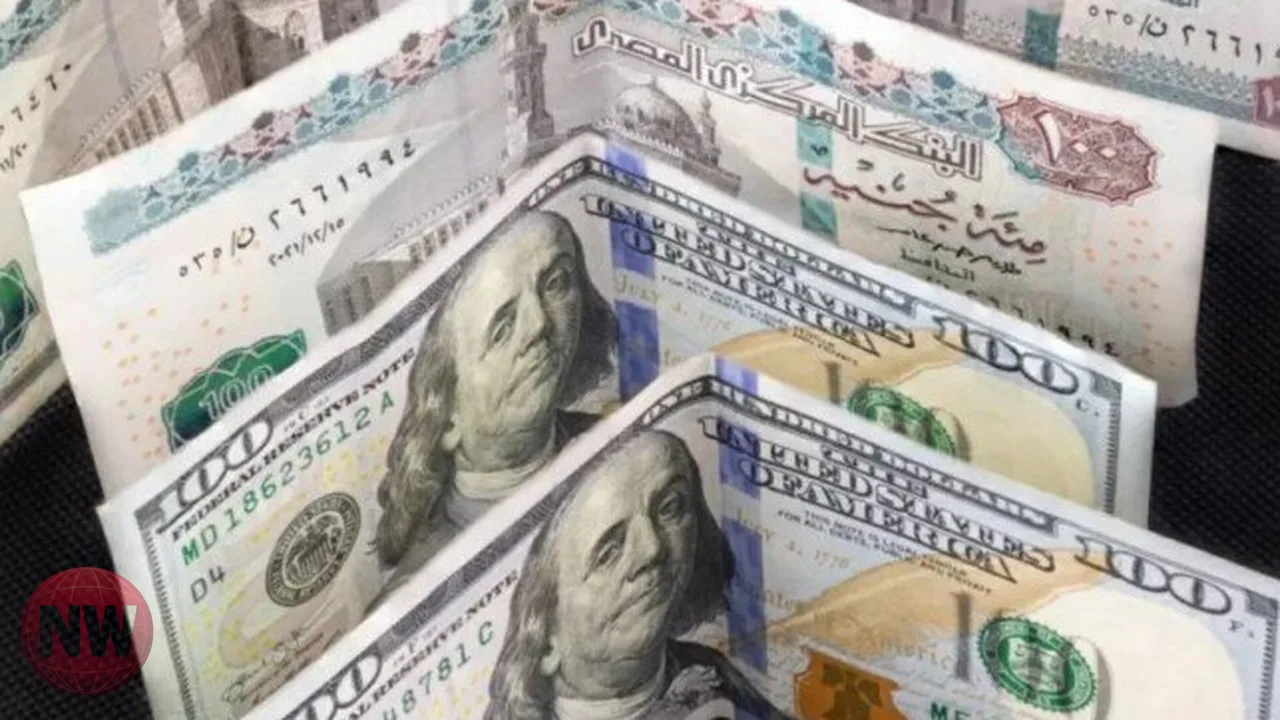 الدولار يرتفع 80 قرشاً أمام الجنيه خلال أسبوع في البنوك المصرية