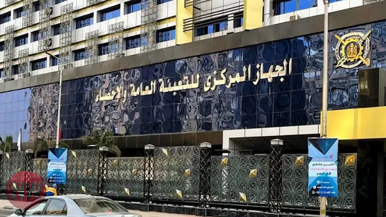 الإحصاء: 4335 مصرياً حصلوا على جنسيات أجنبية خلال 2025