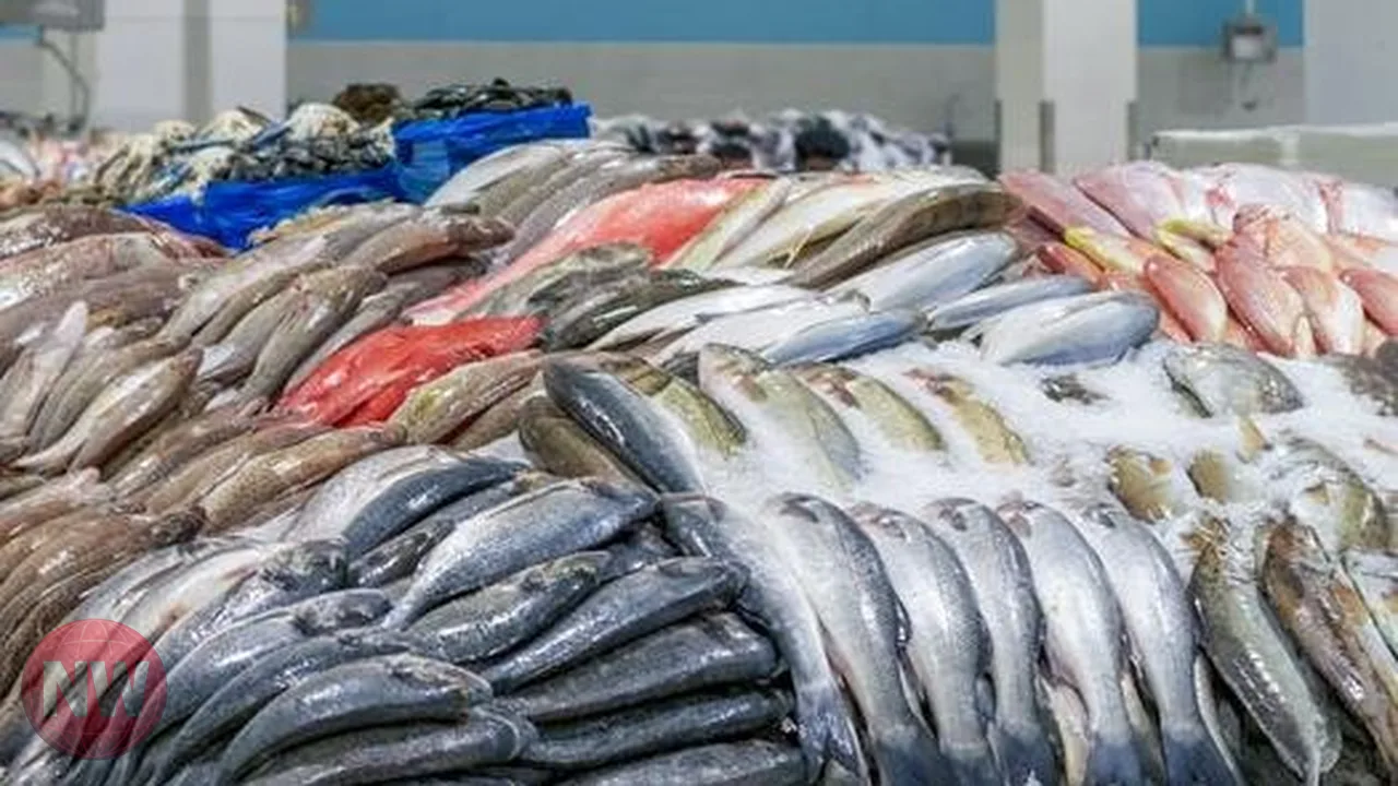 أسعار الأسماك والجمبري في سوق العبور 23 سبتمبر