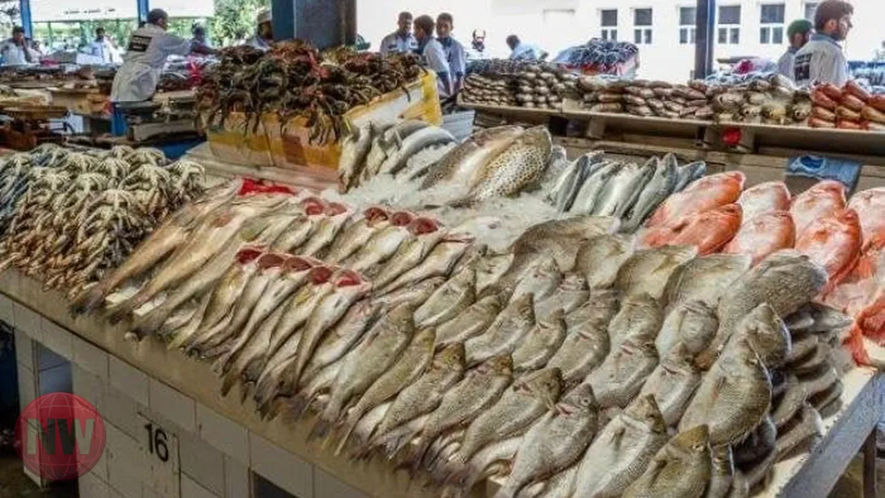 أسعار الأسماك والجمبري في الأسواق المصرية اليوم